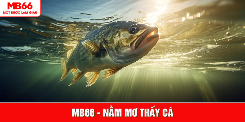 Nằm Mơ Thấy Cá