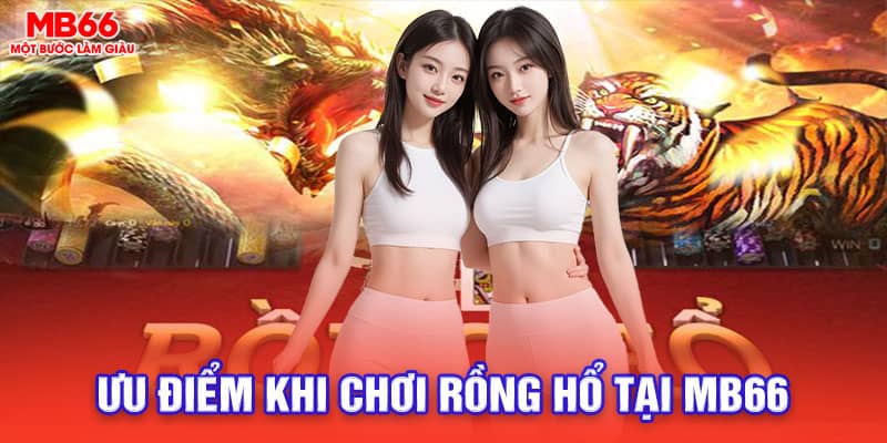 ưu điểm khi chơi rồng hổ tại mb66