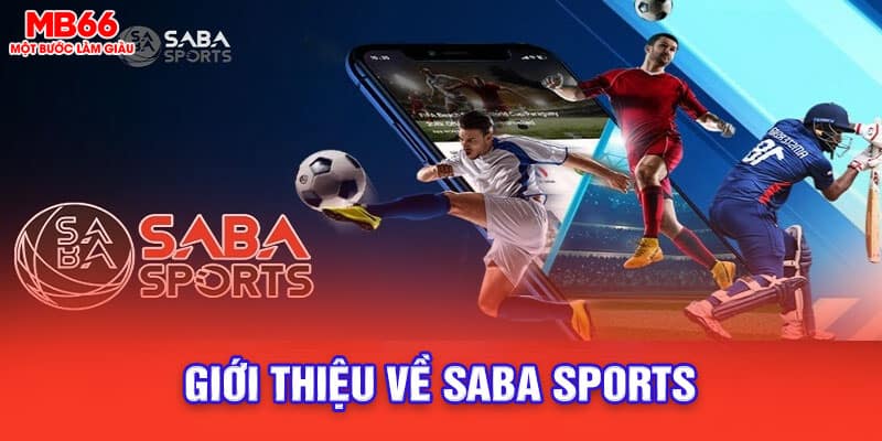 Vài nét về sảnh saba sports tại nhà cái MB6