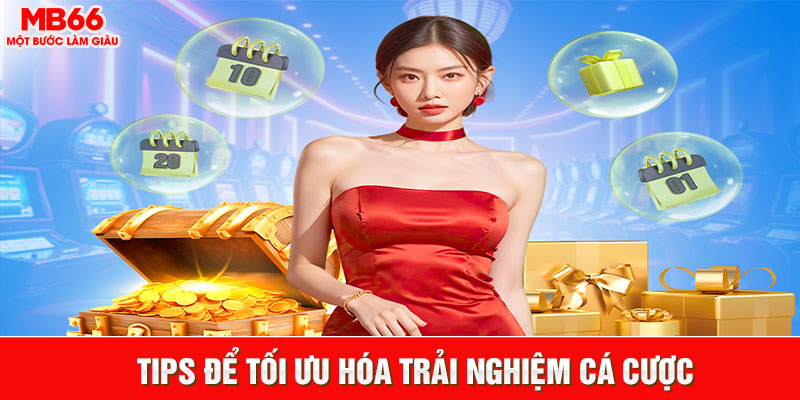 Bí kíp cá cược cực hay hành cho người chơi